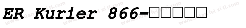 ER Kurier 866字体转换